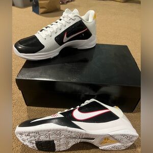 Kobe 5 alternate Bruce Lee